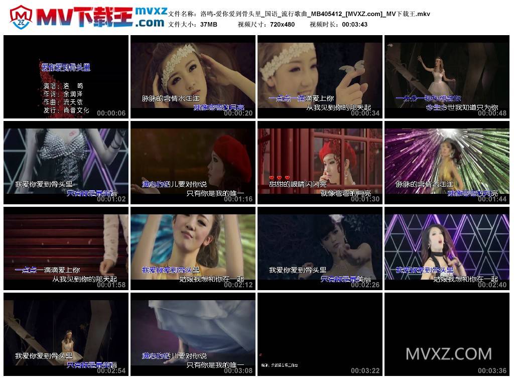 洛鸣-爱你爱到骨头里_国语_流行歌曲_MB405412
